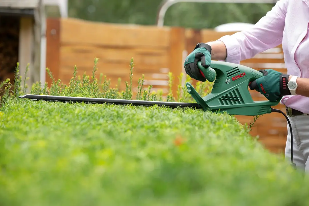 Bosch EasyHedgeCut 55 Heggenschaar