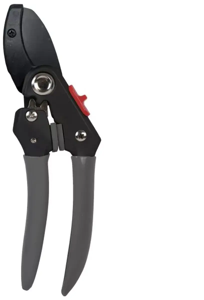 Talen Tools Premium Aambeeld Snoeischaar 20cm