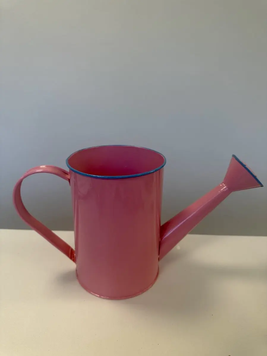 Impuls Metalen Deco Gieter Roze