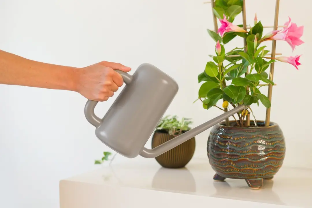 Nature Gieter Kunststof 3.8L Taupe