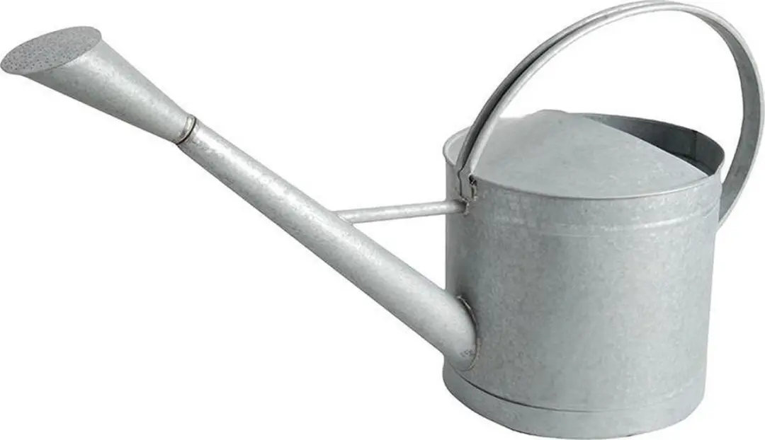 Esschert Design Zinken Gieter Buitenshuis XL - 9L - Grijs