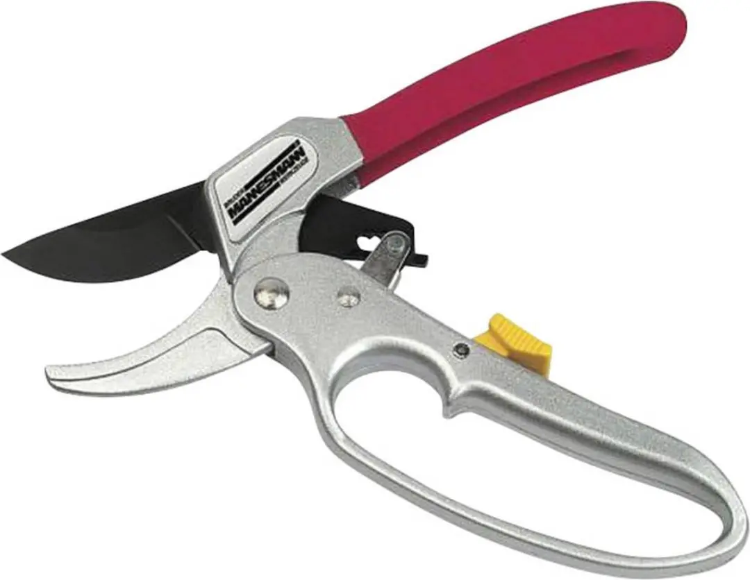 Brüder Mannesmann M63210 Tuinschaar Pal - Amboss