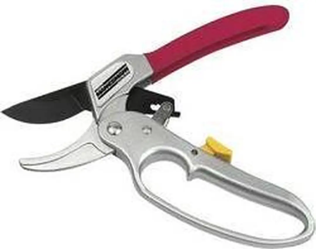 Brüder Mannesmann M63210 Tuinschaar Pal - Amboss