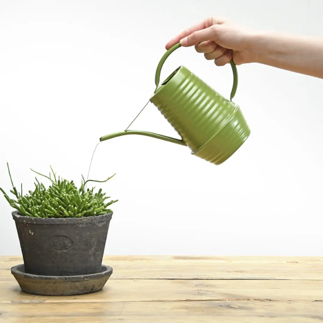Groentinten binnengieter 1 liter - 19 cm hoog