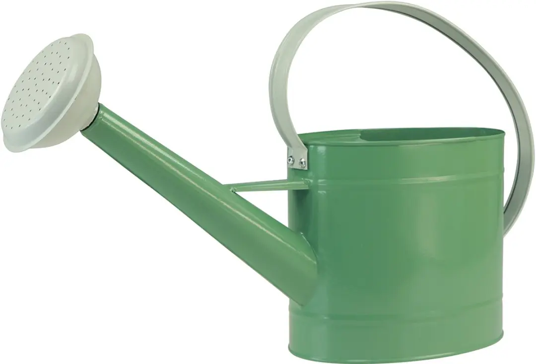 Kaemingk Decoratieve Metal Gieter - Pastelgroen/Wit