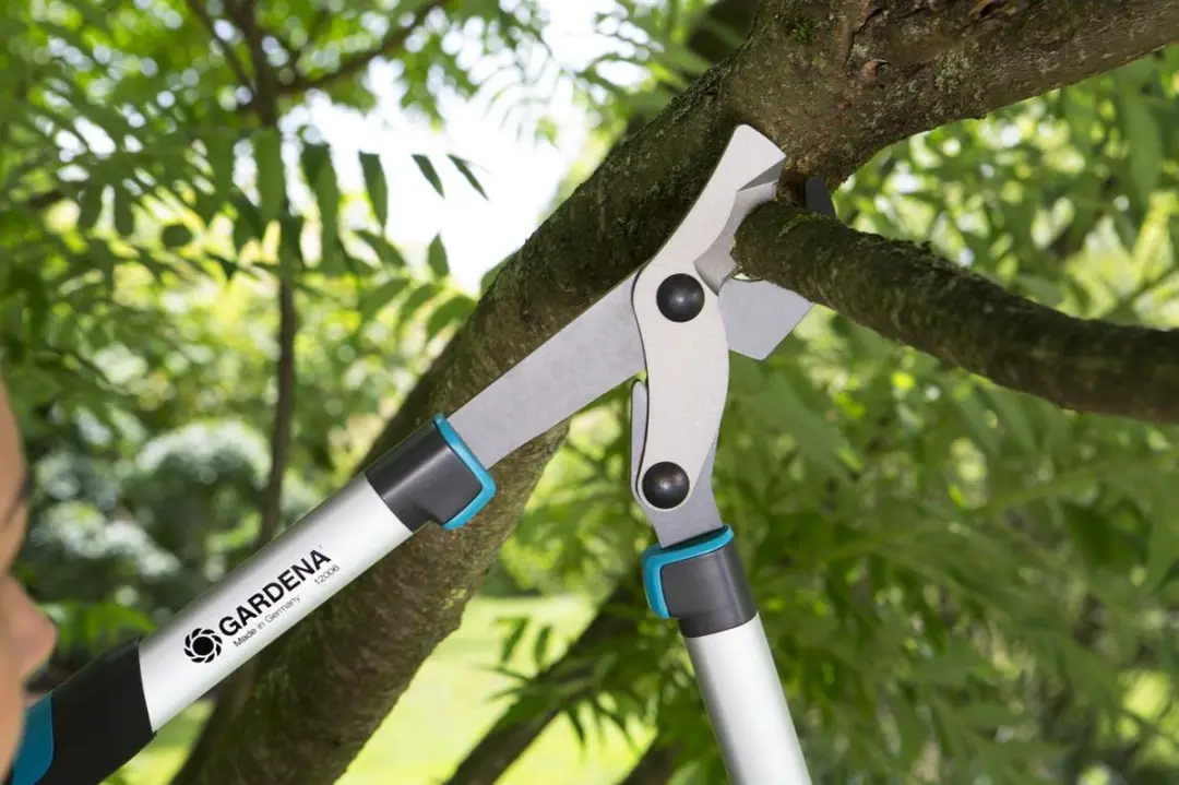 Gardena EnergyCut 600 B Takkenschaar