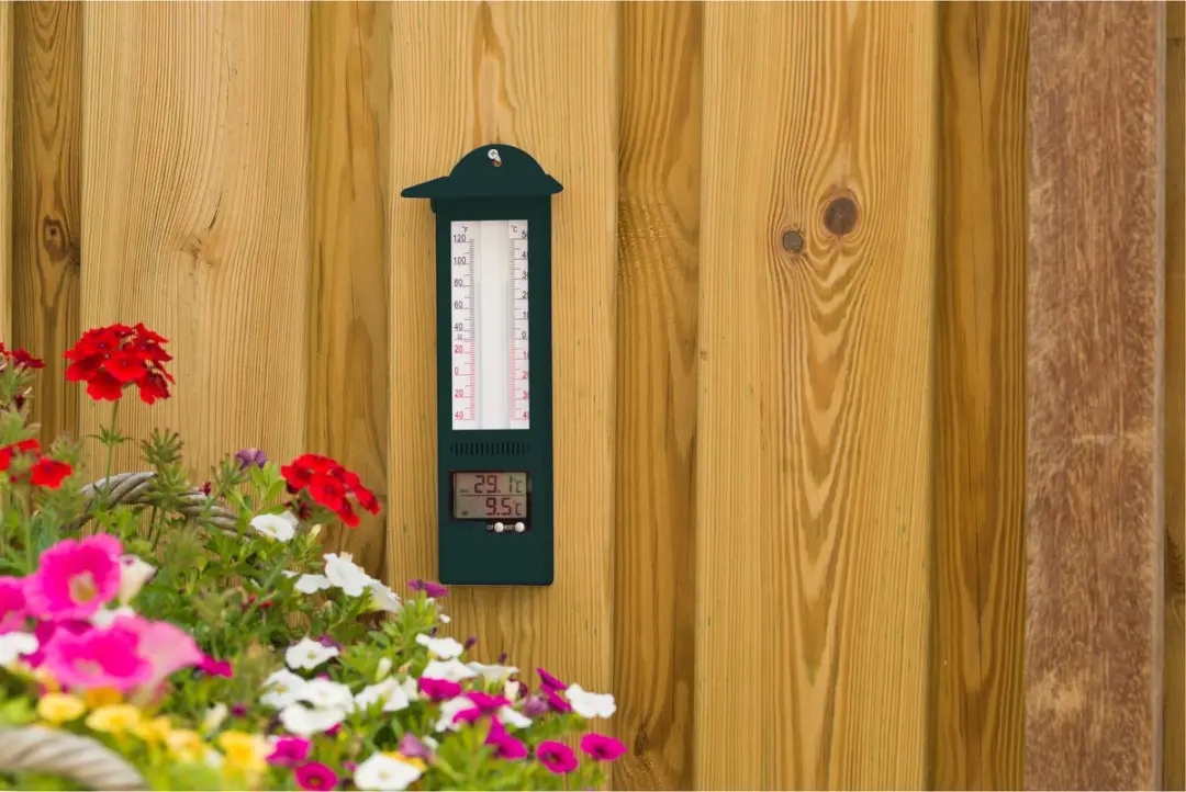 Nature Muurthermometer Digitaal - Groen - afbeelding 2 van 6