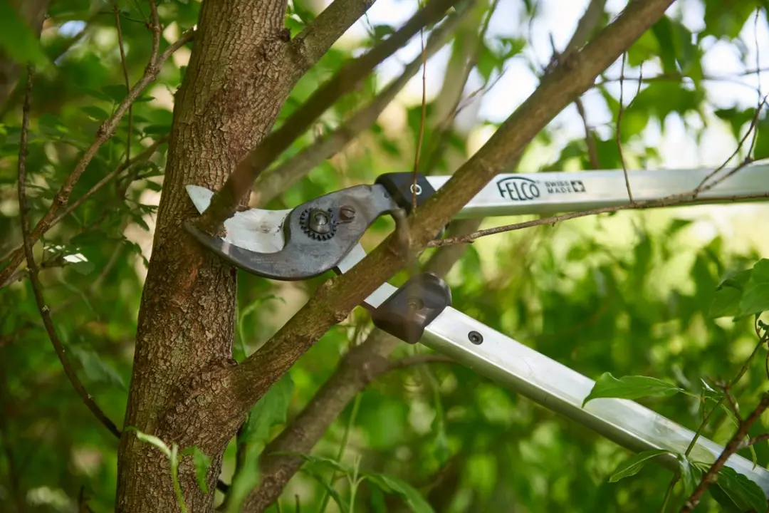 Felco 211-50 Takkenschaar - 500mm - Aluminium