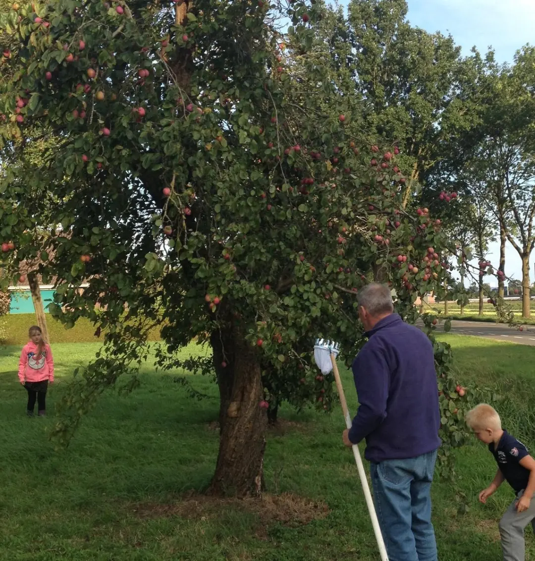 Talen Tools Fruitplukker