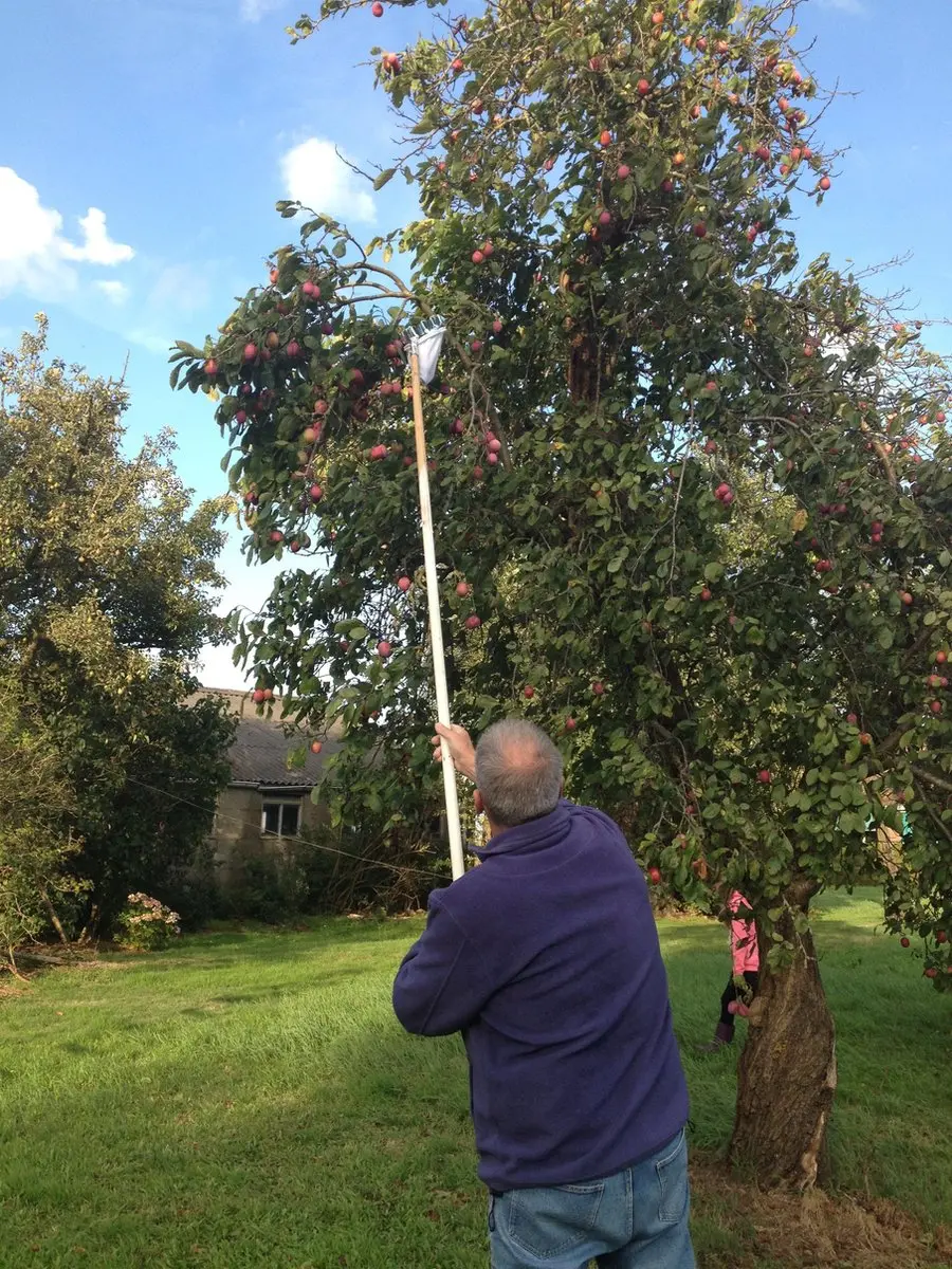 Talen Tools Fruitplukker