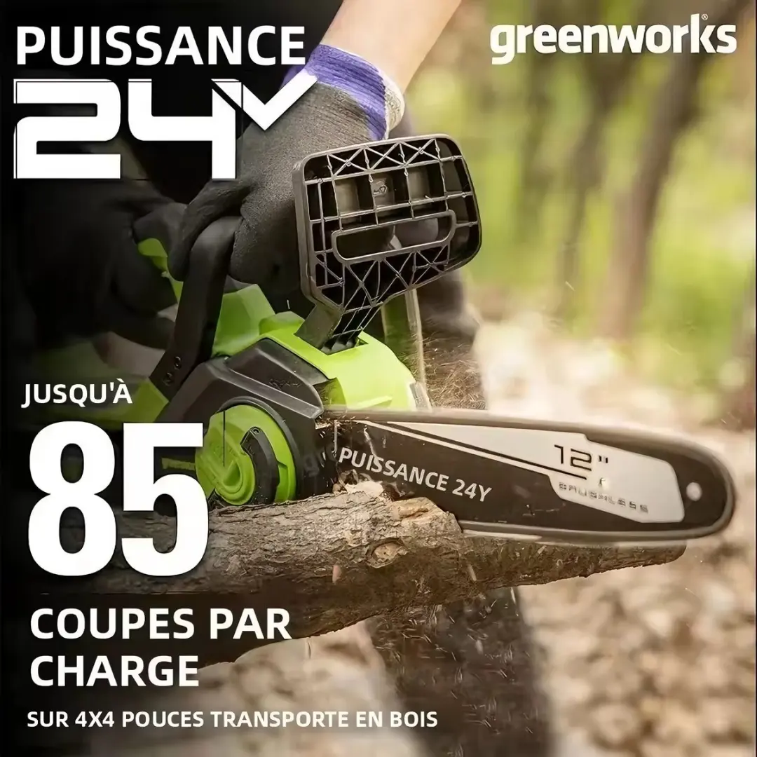 Greenworks CSG401 Elektrische Kettingzaag 12V - 12 Inch - met accu