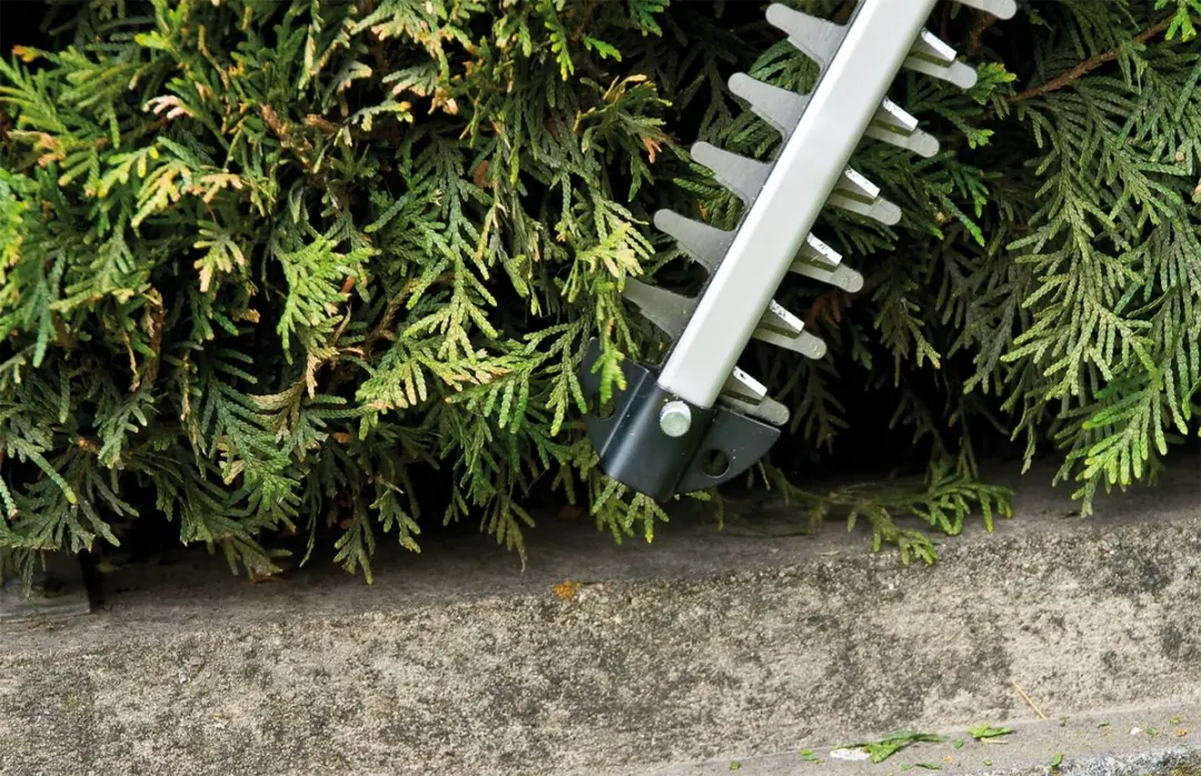 Einhell Accu Heggenschaar GE-CH 1855/1 Li Kit - 18V - 55cm - afbeelding 6 van 6