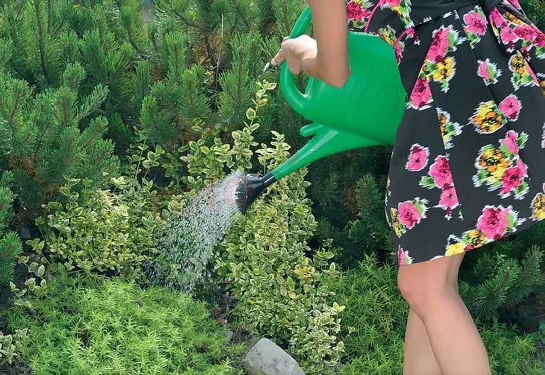Prosperplast Gieter 8L Groen - met broeskop