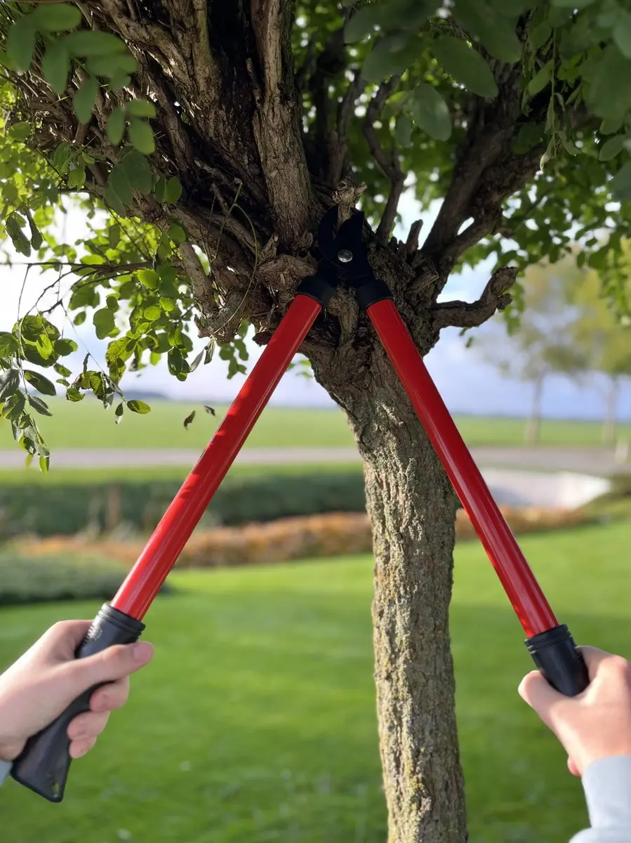 Talen Tools Takkenschaar Voorbijsnijdend 60cm