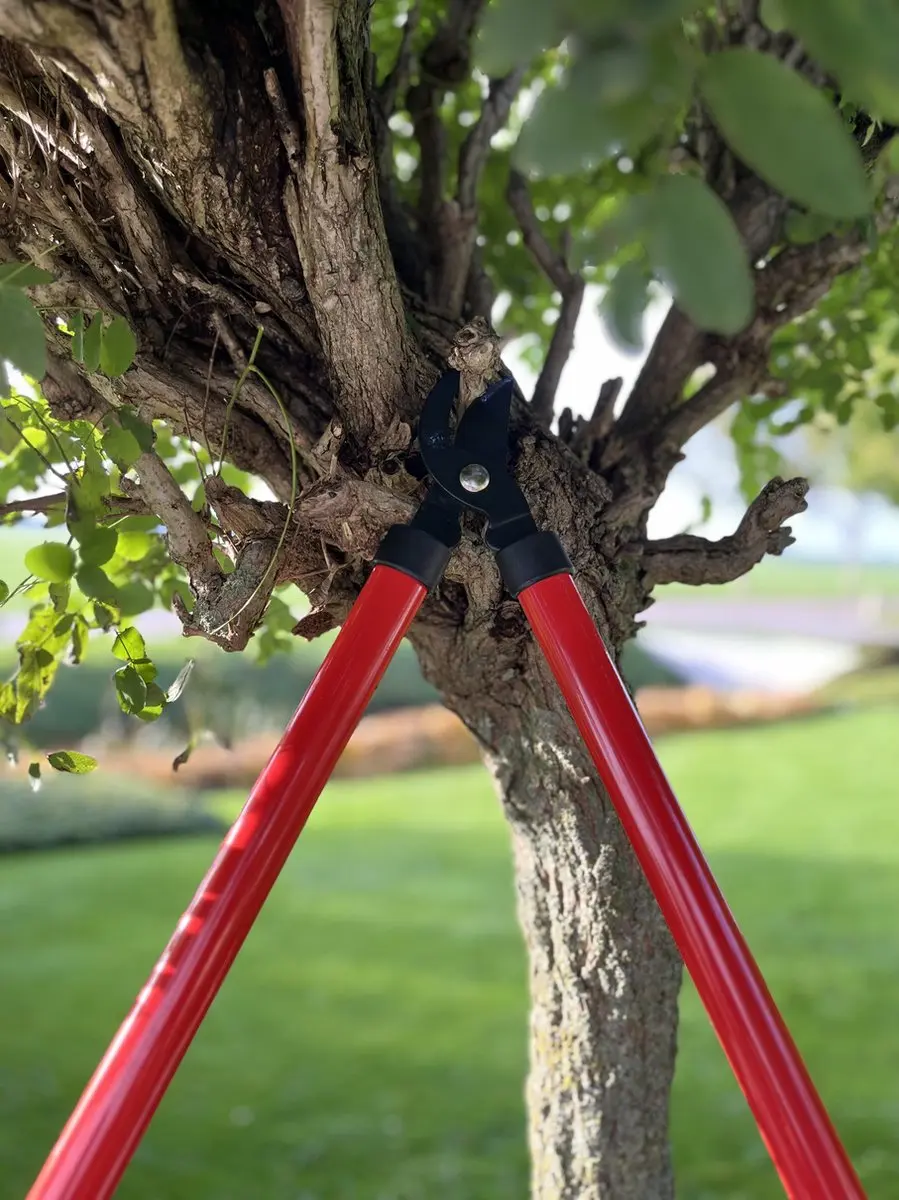 Talen Tools Takkenschaar Voorbijsnijdend 60cm