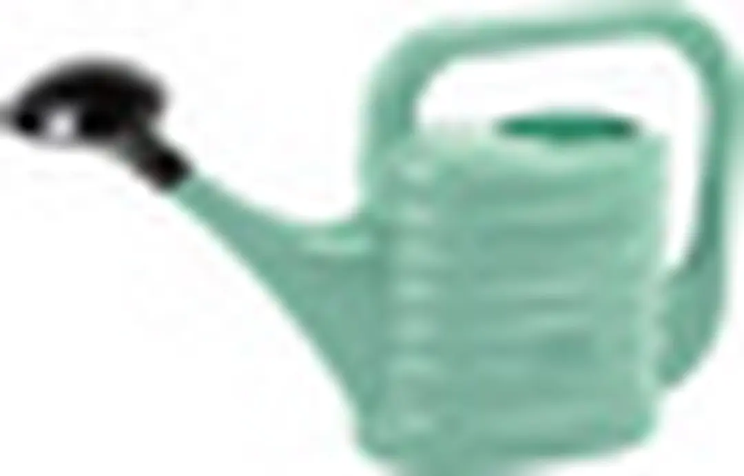 Prosperplast Gieter met broeskop 10L - Mintgroen