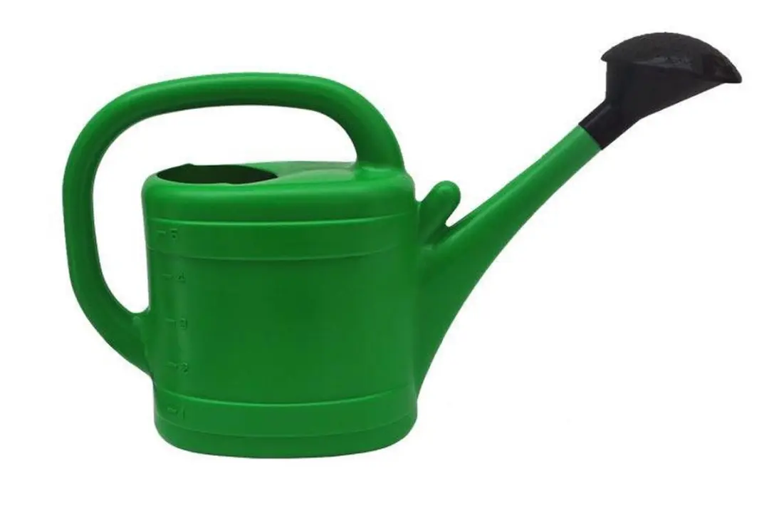 Prosperplast Gieter 5L - Groen - Afneembare broeskop
