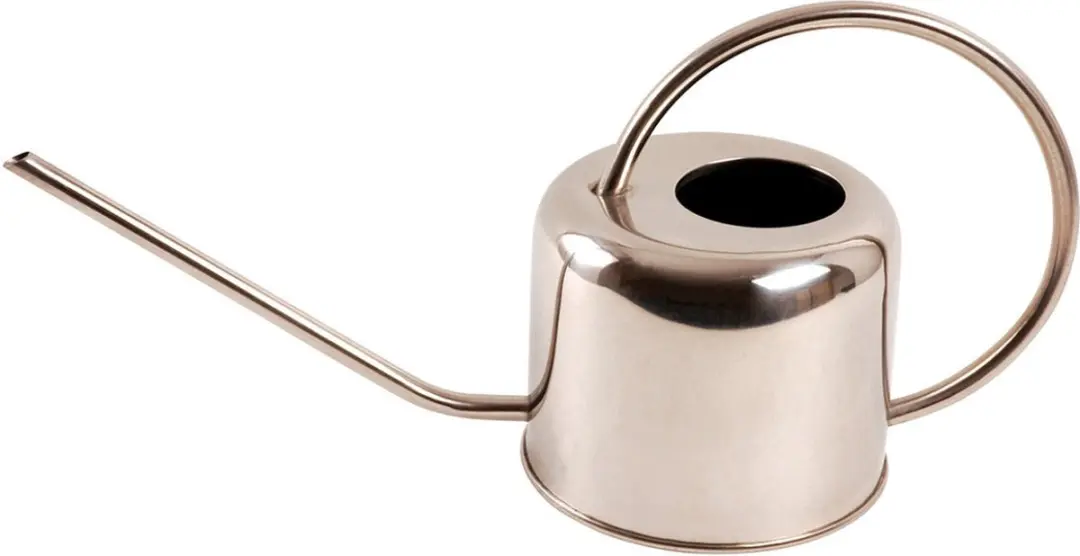 Esschert Design Retro Plantengieter 1L - RVS