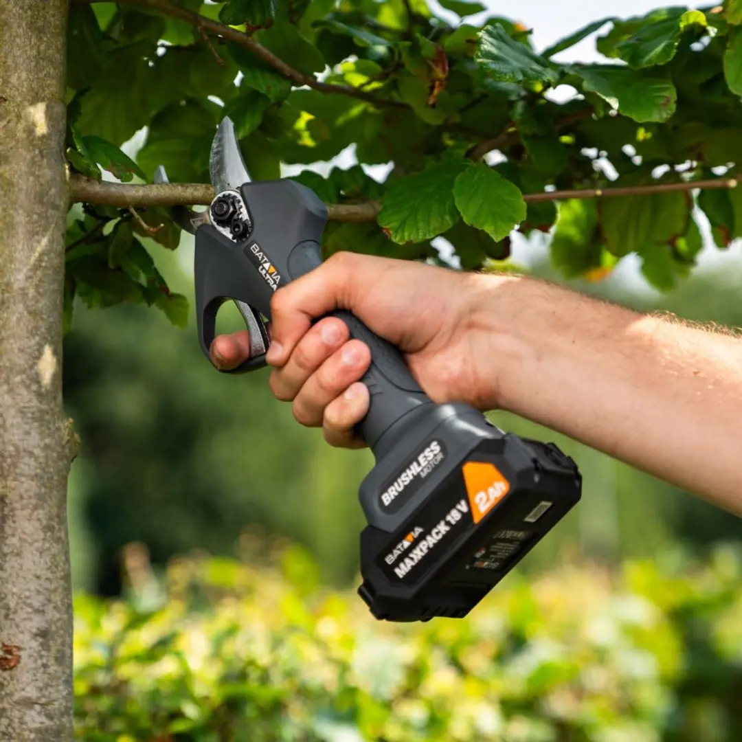 Batavia 18V Nexxcut Brushless Takkenschaar 30mm - Incl. 4.0Ah Accu