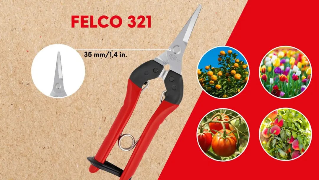 Felco 321 Bloemistenschaar - afbeelding 5 van 6
