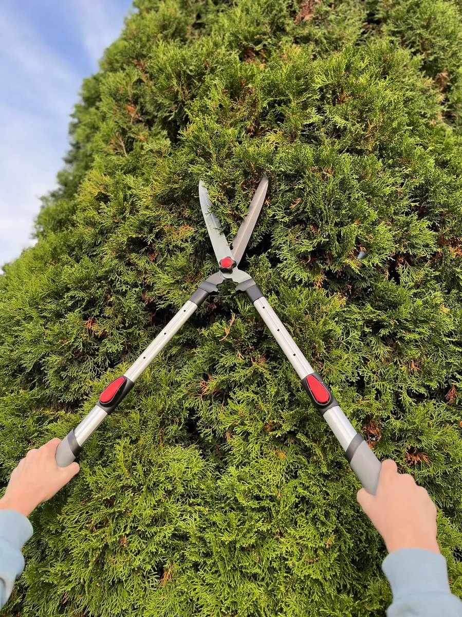 Talen Tools Heggenschaar Telescopisch 69-89cm