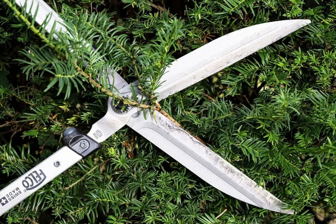 Felco Heggenschaar 250-63 63cm