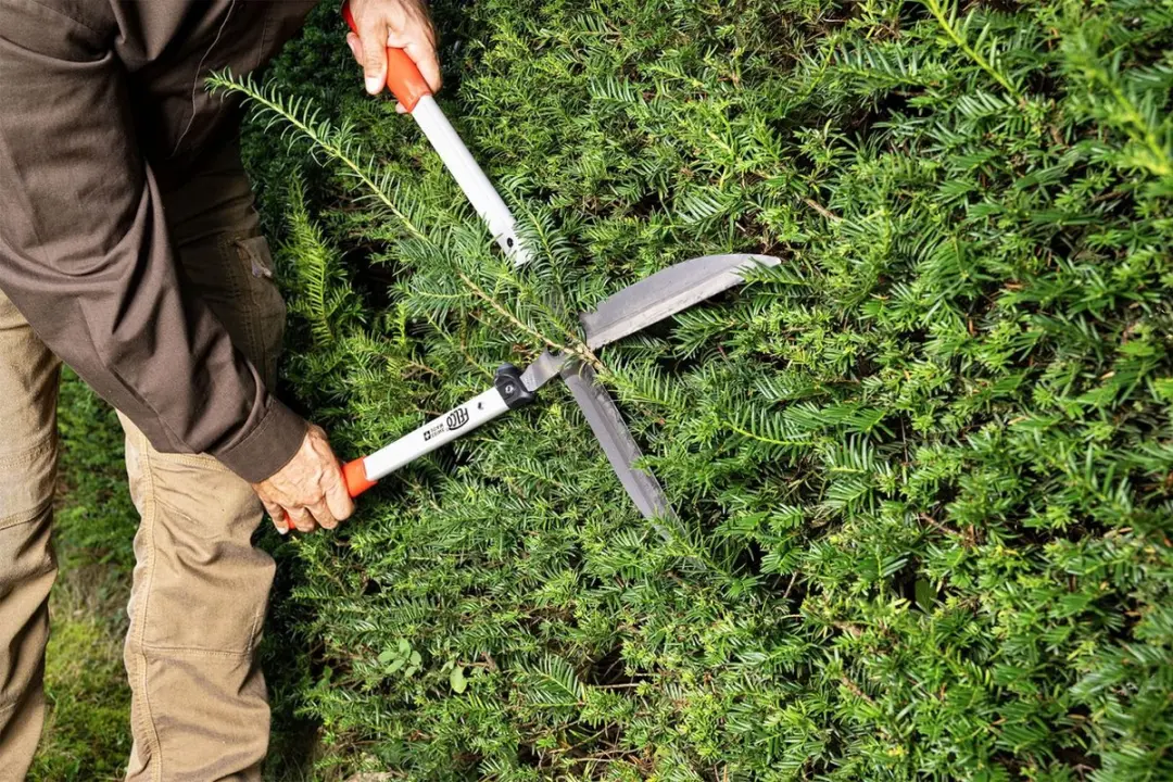 Felco Heggenschaar 250-63 63cm