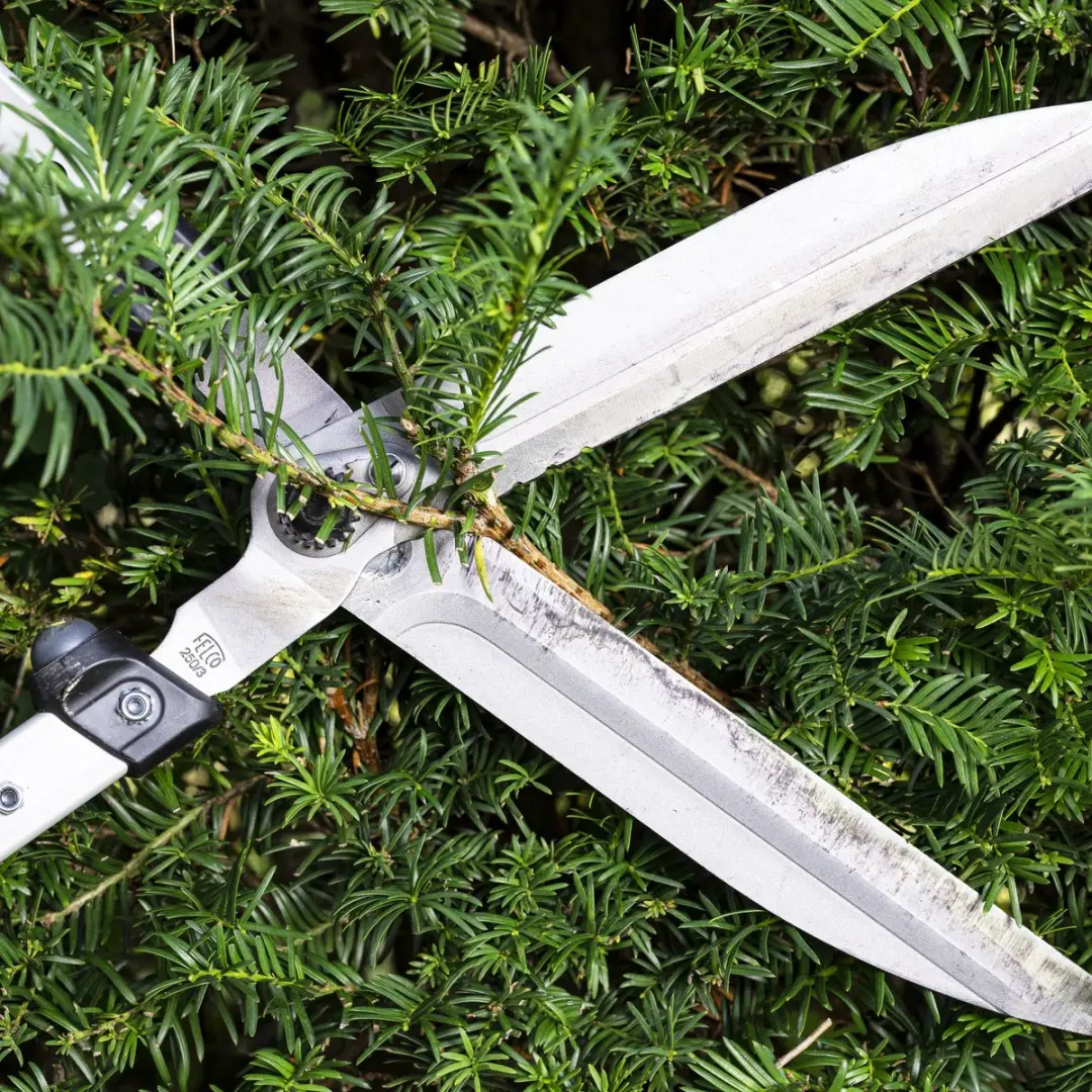 Felco Heggenschaar 250-63 63cm