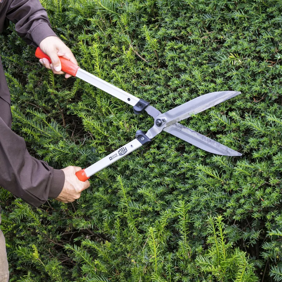 Felco Heggenschaar 250-63 63cm