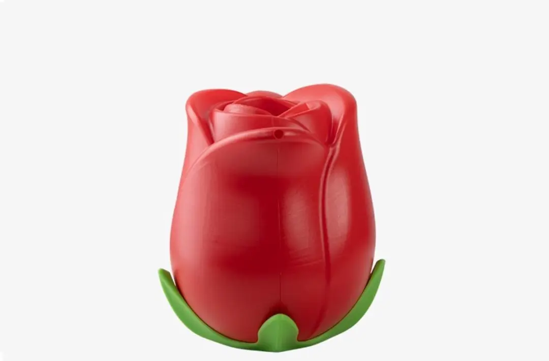 Esschert Design Roos Gieter 1,55 liter - Rood/Groen