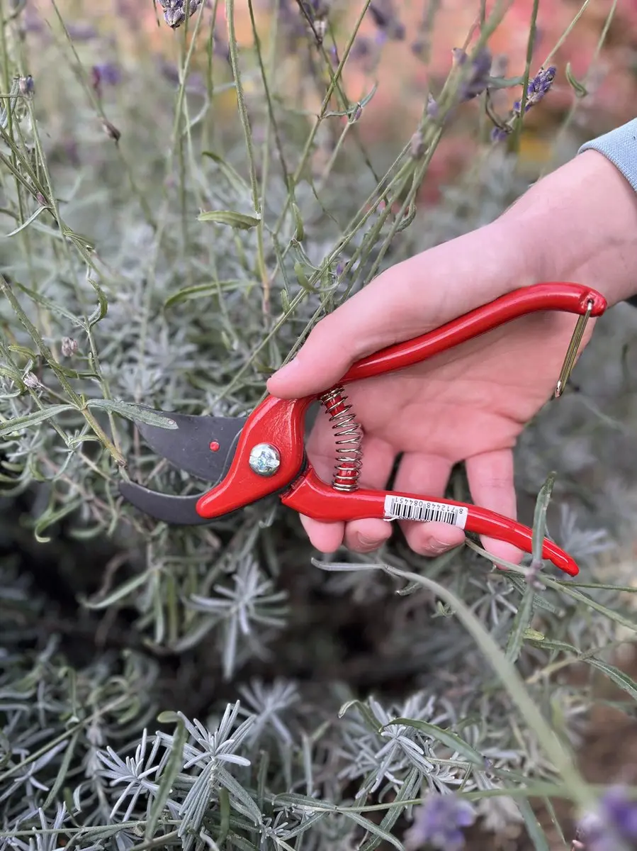 Talen Tools Snoeischaar - Rood