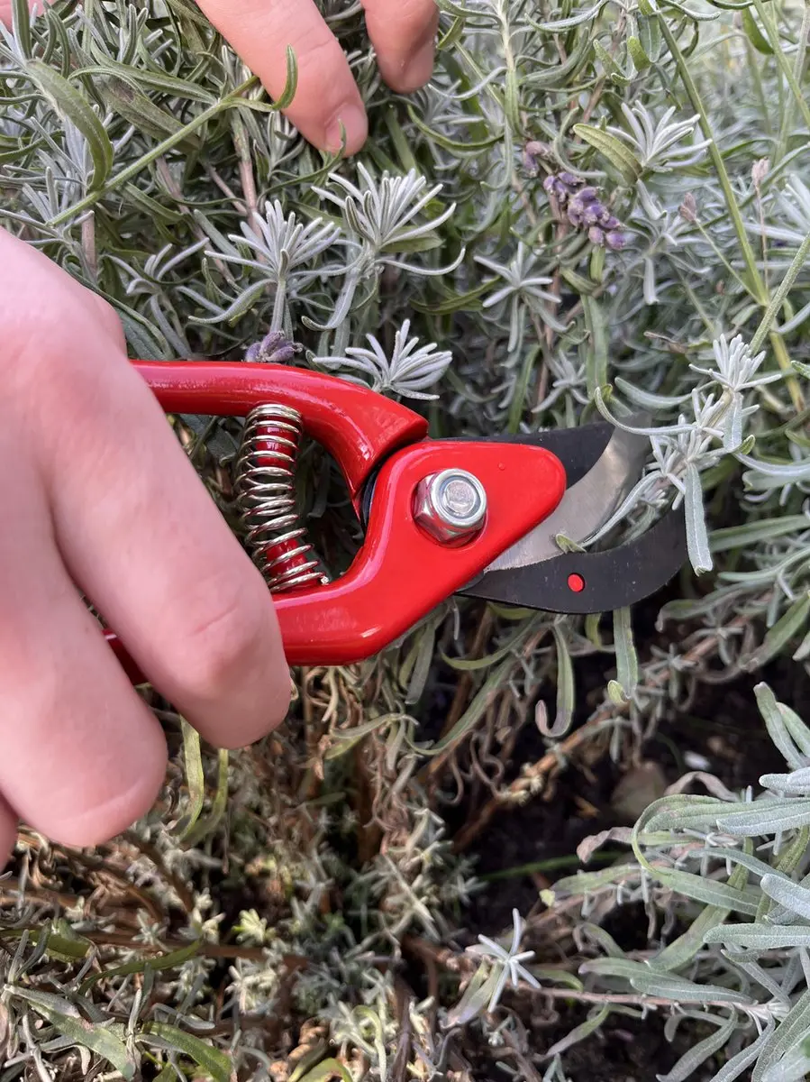 Talen Tools Snoeischaar - Rood