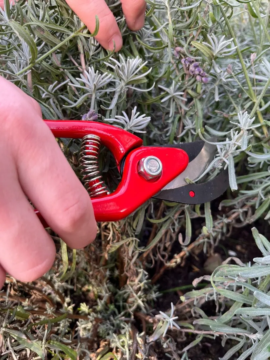Talen Tools Snoeischaar - Rood