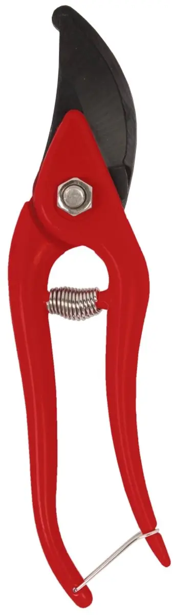 Talen Tools Snoeischaar