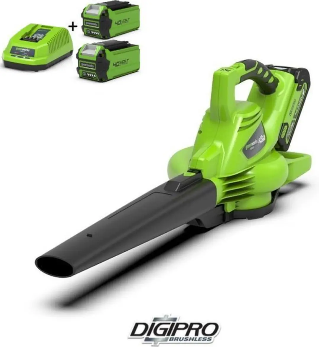 Greenworks 40V Bladblazer/Zuiger 2x2Ah