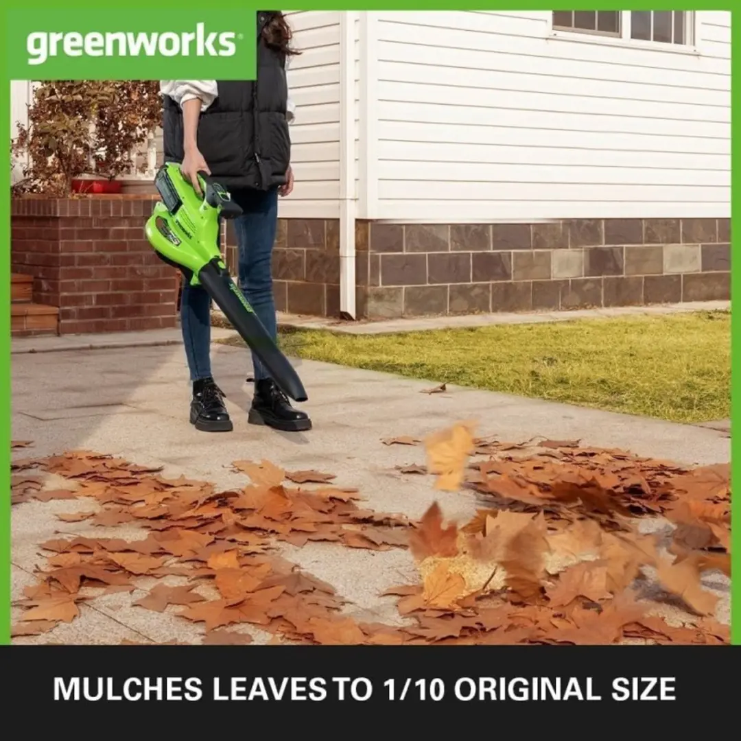 Greenworks 40V Bladblazer/Zuiger 2x2Ah - 185 km/h - 45L