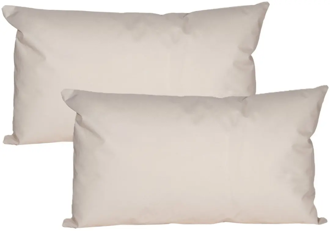 Anna's Collection Buiten/Zitkussens Beige 2 Stuks