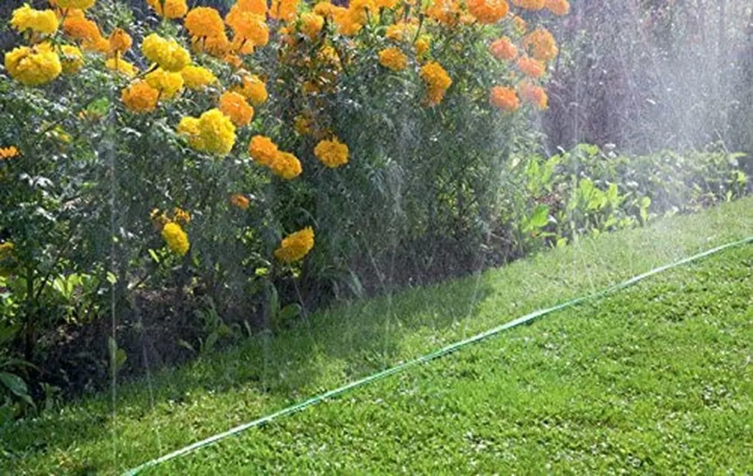 Gardena Druppelsysteem Sproeierslang 15m - Groen