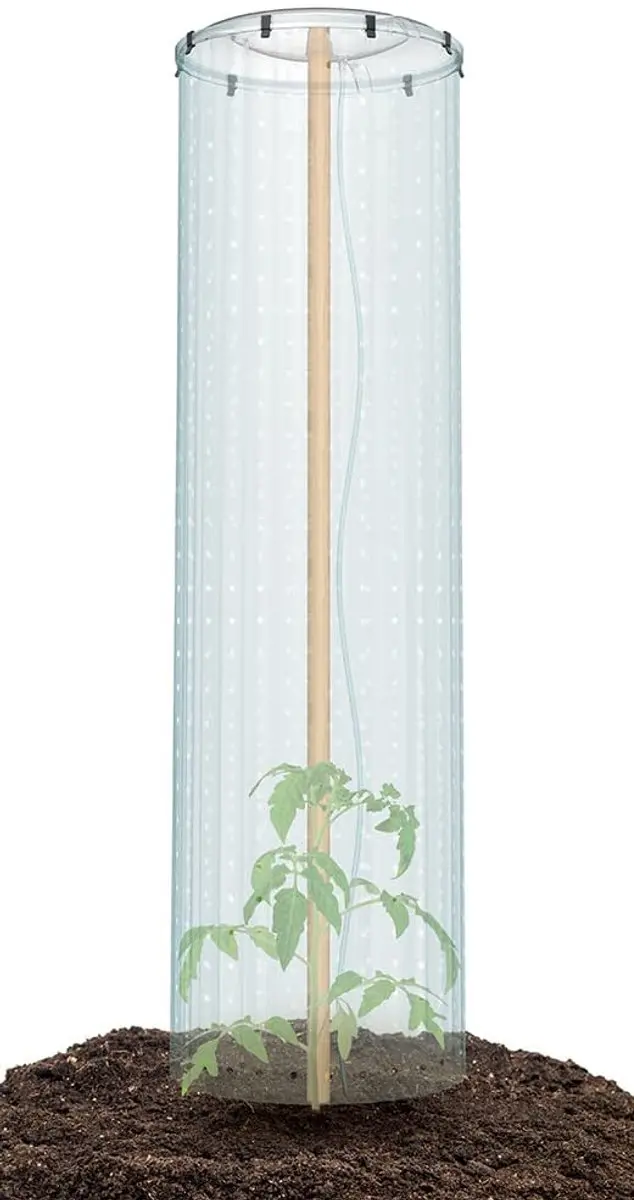 Prosperplast Tomatenbeschermingsset