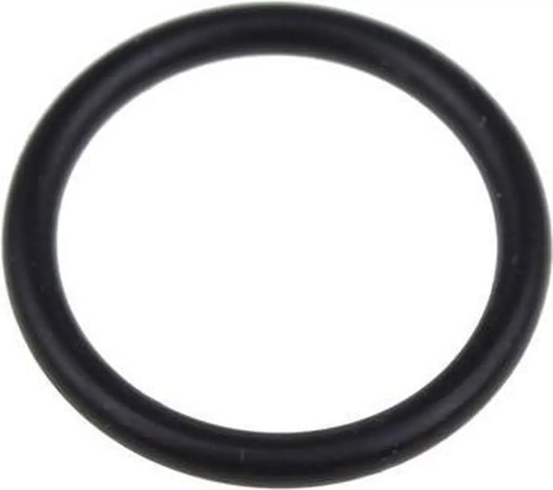 Kärcher O-Ring 16 x 2