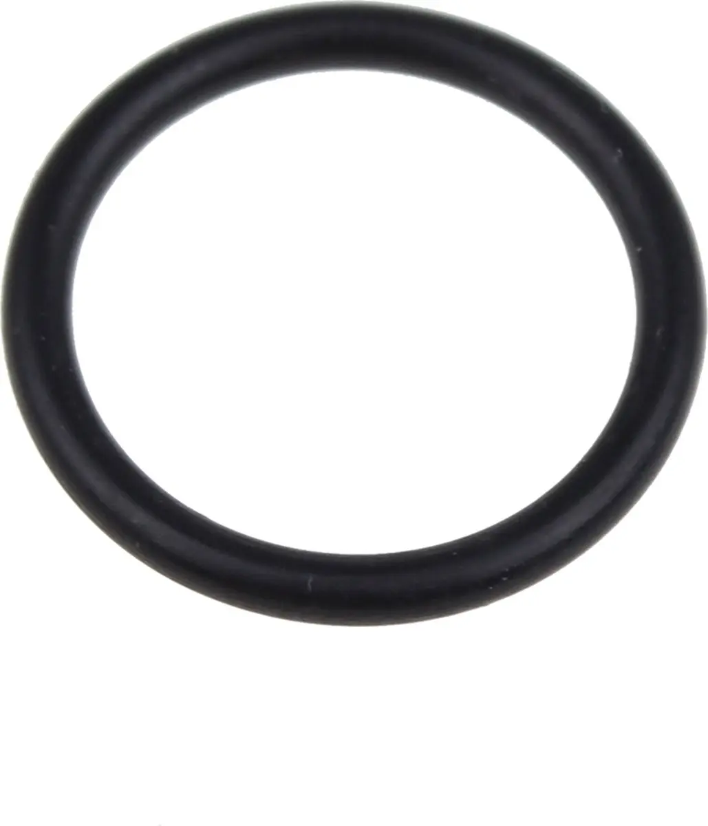 Kärcher O-Ring 16 x 2 - 63629030