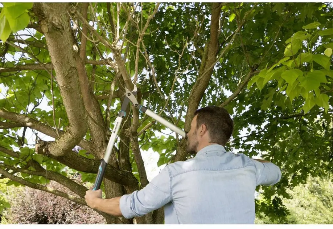 Gardena EnergyCut 750 A Takkenschaar Aambeeld - afbeelding 6 van 6