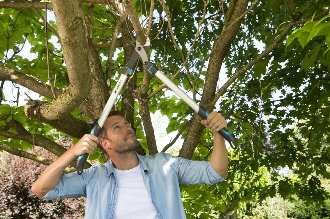 Gardena EnergyCut 750 A Takkenschaar Aambeeld