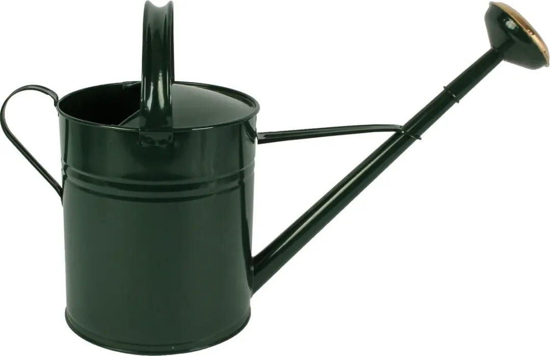 Talen Tools Groene Gieter 10L Metaal