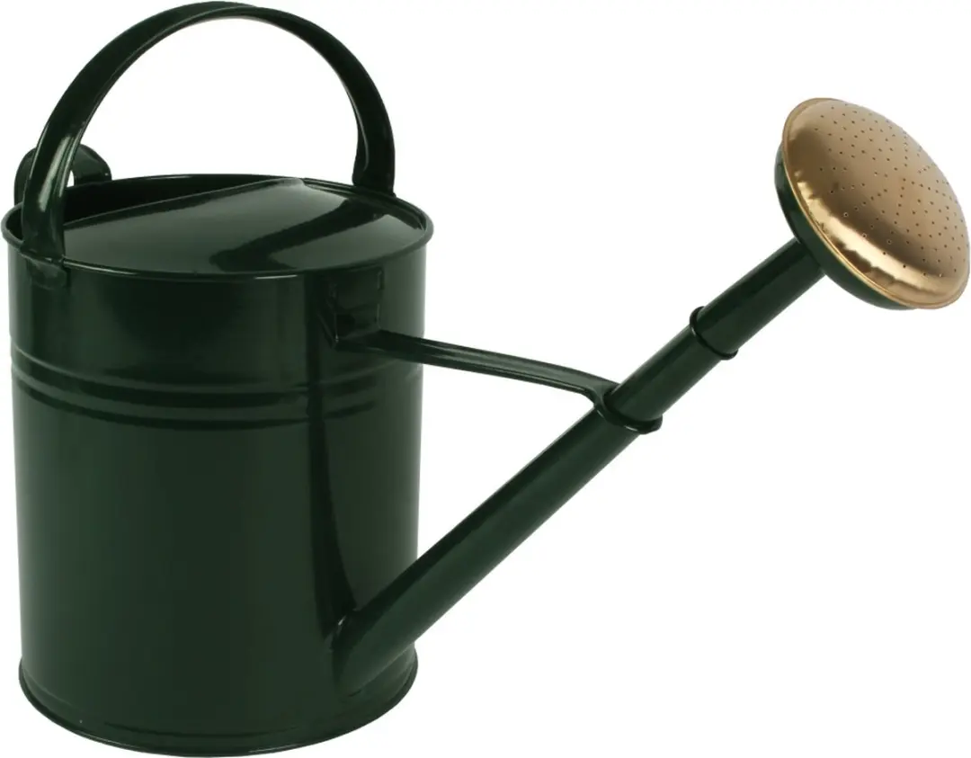 Talen Tools Groene Gieter 10L Metaal