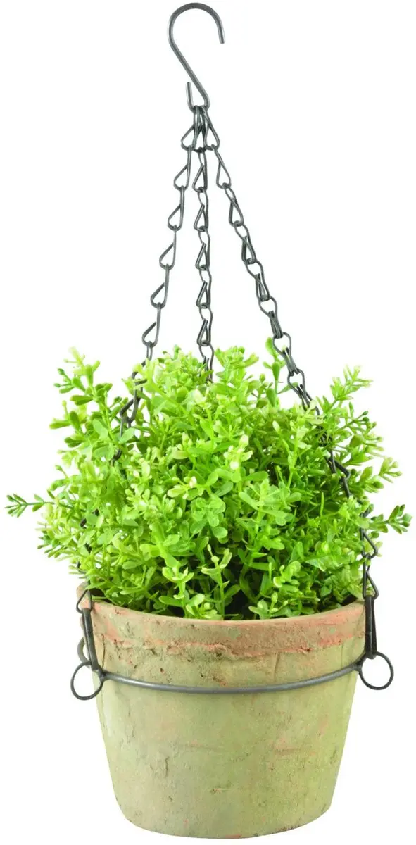 Esschert Design Buiten Plantenhanger Aged Terracotta 16.9cm