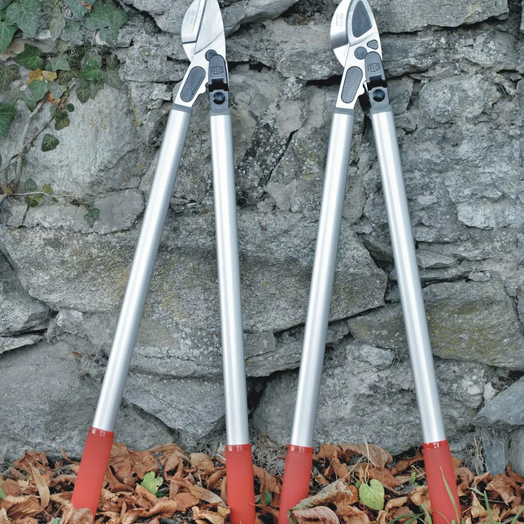 Felco 230 Aambeeld Takkenschaar - Ø40mm