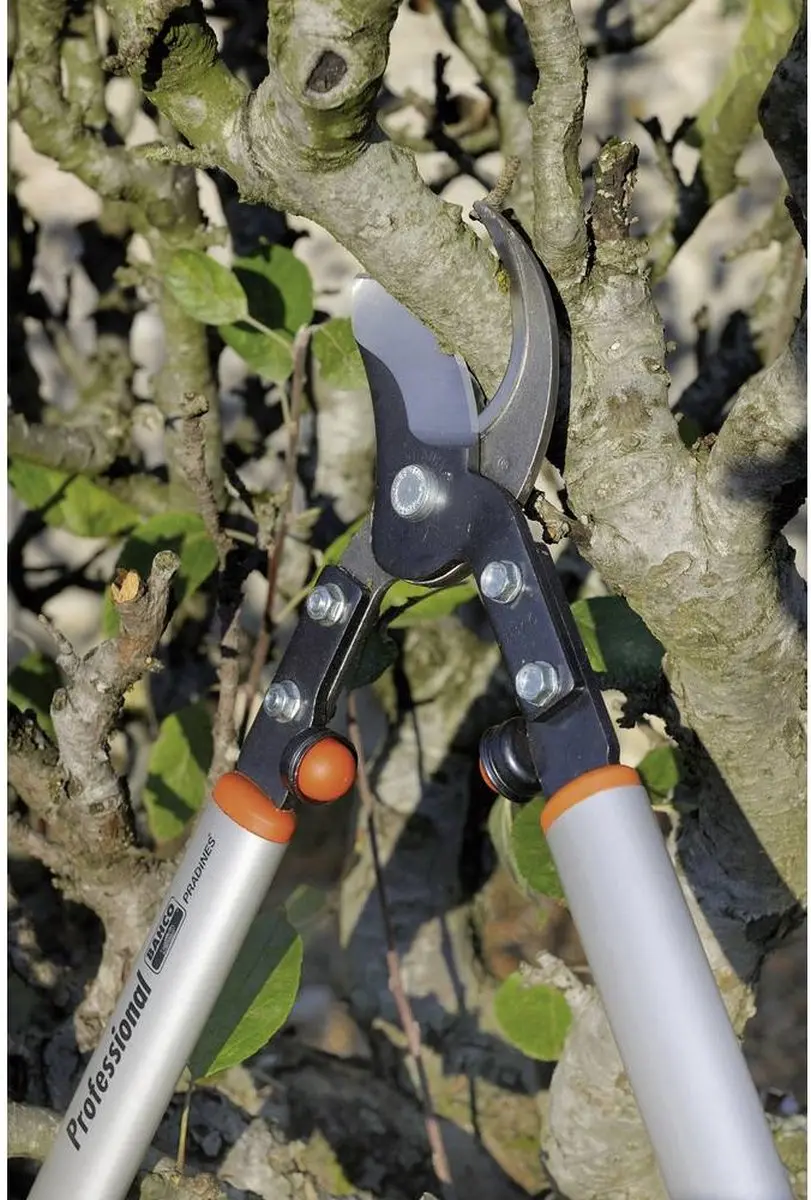 Bahco P160-SL-75 Takkenschaar - 45mm