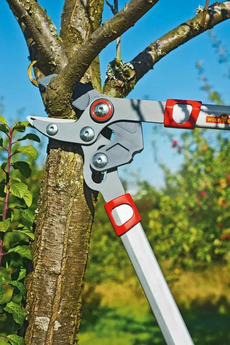 WOLF-Garten Takkenschaar POWER CUT RS 650 - 650mm - Aluminium
