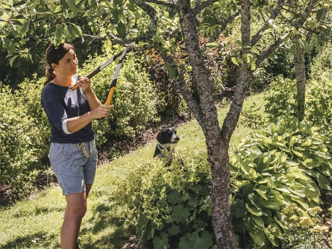 Fiskars PowerGear X Takkenschaar LX92 - 54 cm